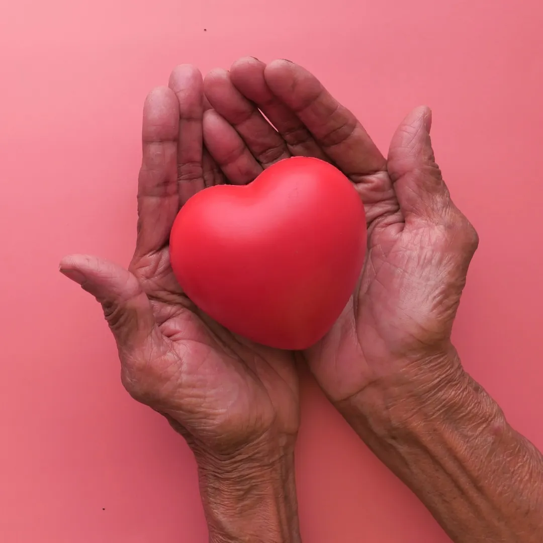 Close-up of a pair of elderly hands gently cradling a red heart-shaped object against a pink background, symbolizing care, compassion, and heart health.